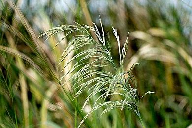 《Riftstorm》测试版获成功 3小时内容吸引玩家反复玩