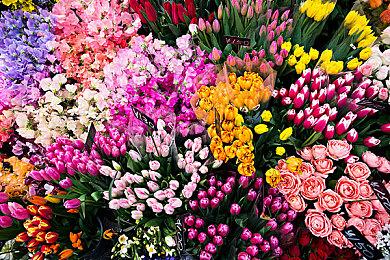 Steam武侠游戏《武林志》将推免费版本“再战紫禁城”，新增十大势力