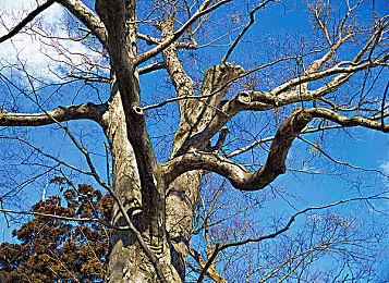 末日生存RPG《日落余晖》开启抢先体验